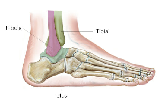 Physical Therapy After Ankle Surgery
